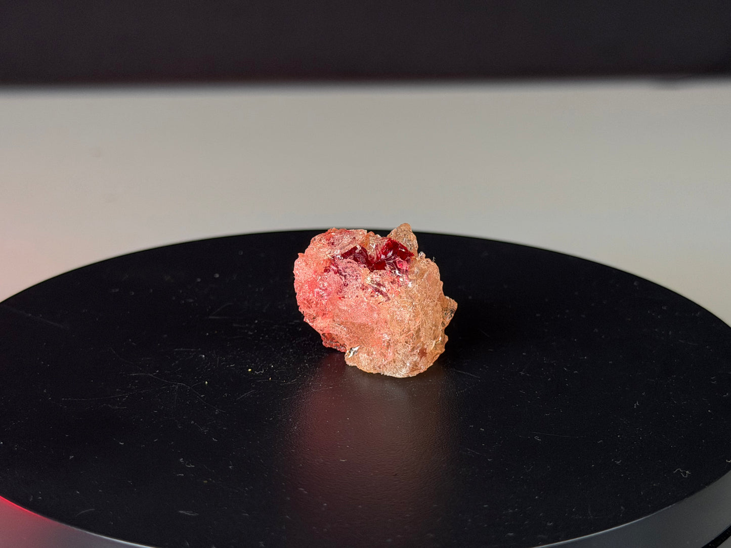 Baquelita Resina - EDICIÓN LIMITADA