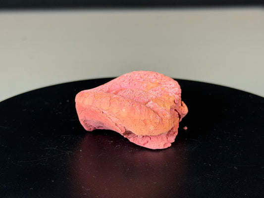 Baquelita Espuma - EDICIÓN LIMITADA